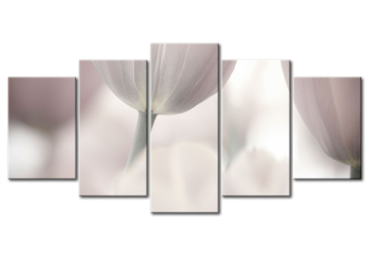 Canvas Art Print Tulip in grey shades 58681