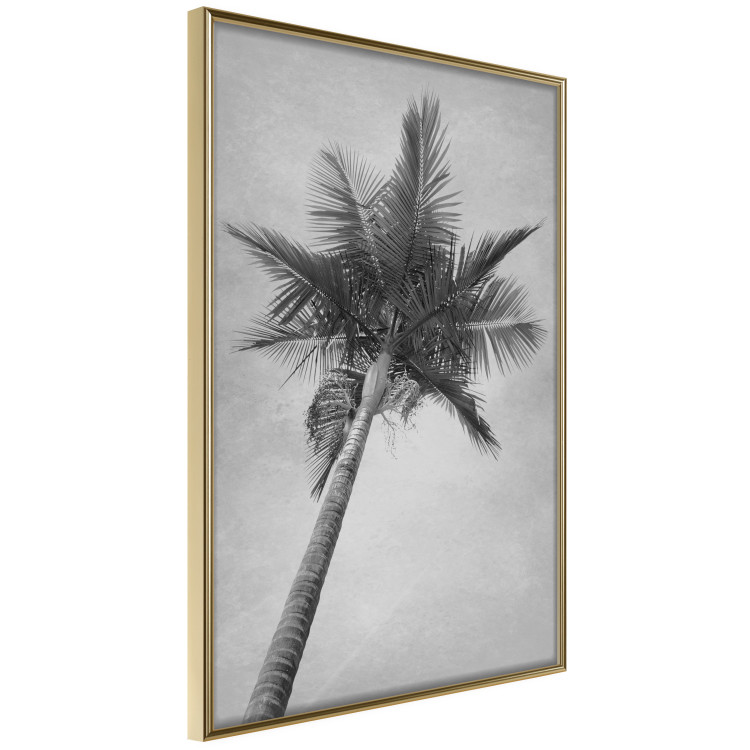Poster Tall Palm Tree - black and white tropical landscape from a frog's perspective 116491 additionalImage 14
