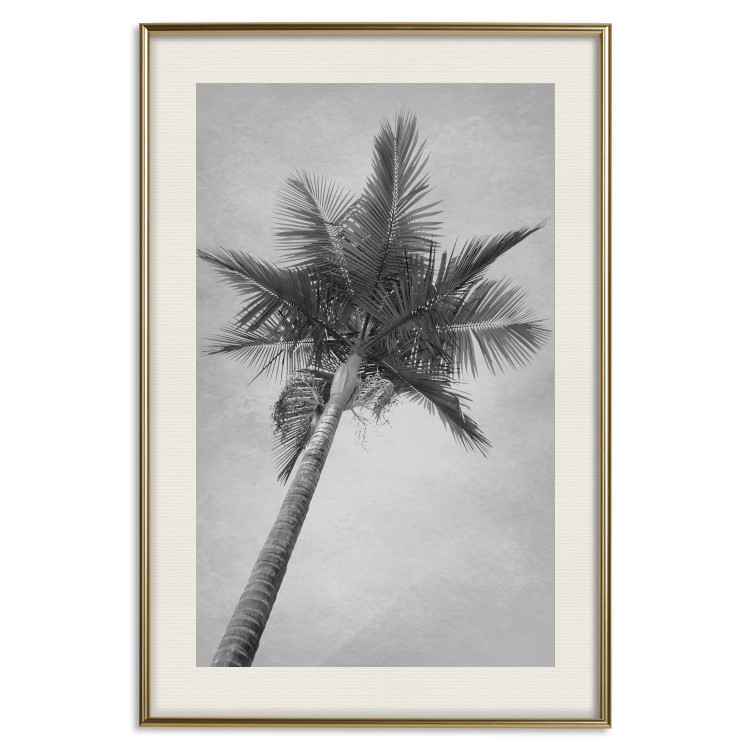 Poster Tall Palm Tree - black and white tropical landscape from a frog's perspective 116491 additionalImage 20