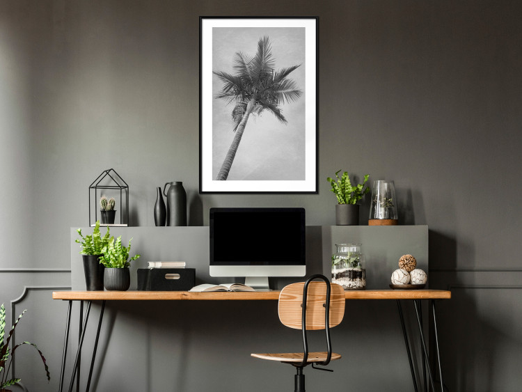 Poster Tall Palm Tree - black and white tropical landscape from a frog's perspective 116491 additionalImage 4