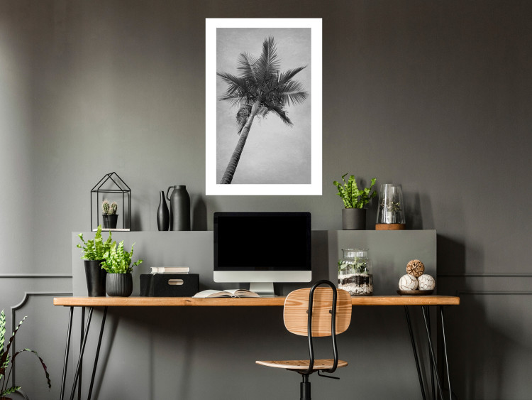 Poster Tall Palm Tree - black and white tropical landscape from a frog's perspective 116491 additionalImage 4
