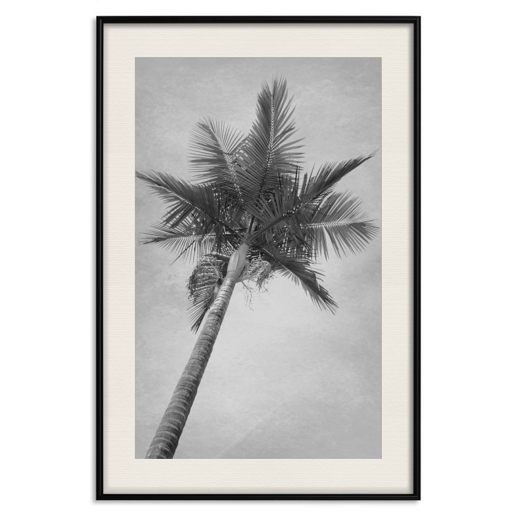 Poster Tall Palm Tree - black and white tropical landscape from a frog's perspective 116491 additionalImage 21