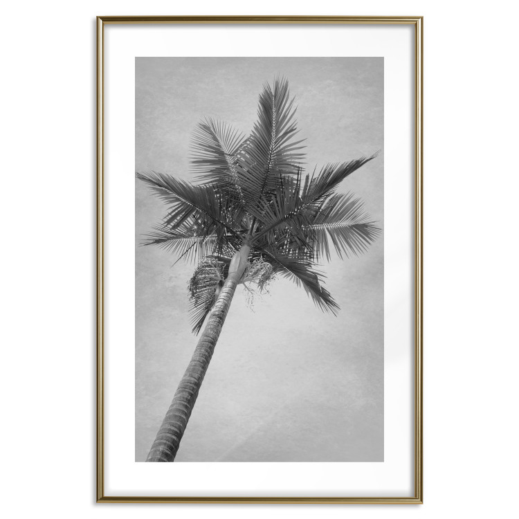 Poster Tall Palm Tree - black and white tropical landscape from a frog's perspective 116491 additionalImage 22