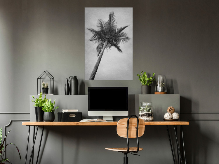 Poster Tall Palm Tree - black and white tropical landscape from a frog's perspective 116491 additionalImage 14