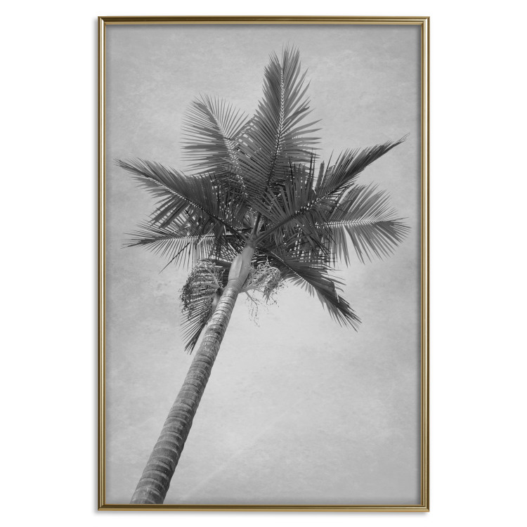 Poster Tall Palm Tree - black and white tropical landscape from a frog's perspective 116491 additionalImage 19