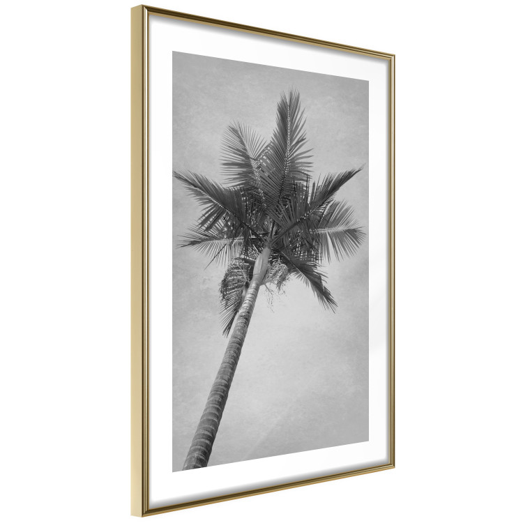 Poster Tall Palm Tree - black and white tropical landscape from a frog's perspective 116491 additionalImage 6