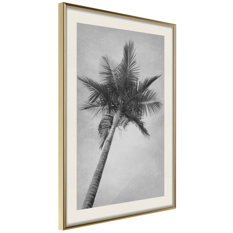 Poster Tall Palm Tree - black and white tropical landscape from a frog's perspective 116491 additionalImage 2