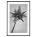Poster Tall Palm Tree - black and white tropical landscape from a frog's perspective 116491 additionalThumb 20