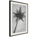 Poster Tall Palm Tree - black and white tropical landscape from a frog's perspective 116491 additionalThumb 3