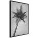 Poster Tall Palm Tree - black and white tropical landscape from a frog's perspective 116491 additionalThumb 10