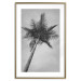 Poster Tall Palm Tree - black and white tropical landscape from a frog's perspective 116491 additionalThumb 16