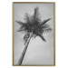 Poster Tall Palm Tree - black and white tropical landscape from a frog's perspective 116491 additionalThumb 19
