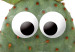 Poster Eared Cactus - funny green plant with eyes on a solid background 116891 additionalThumb 2