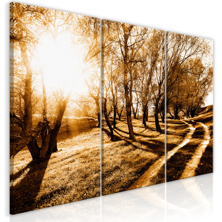 Canvas Art Print Autumn sun - an alley, trees and nature in a golden light 122191 additionalImage 2