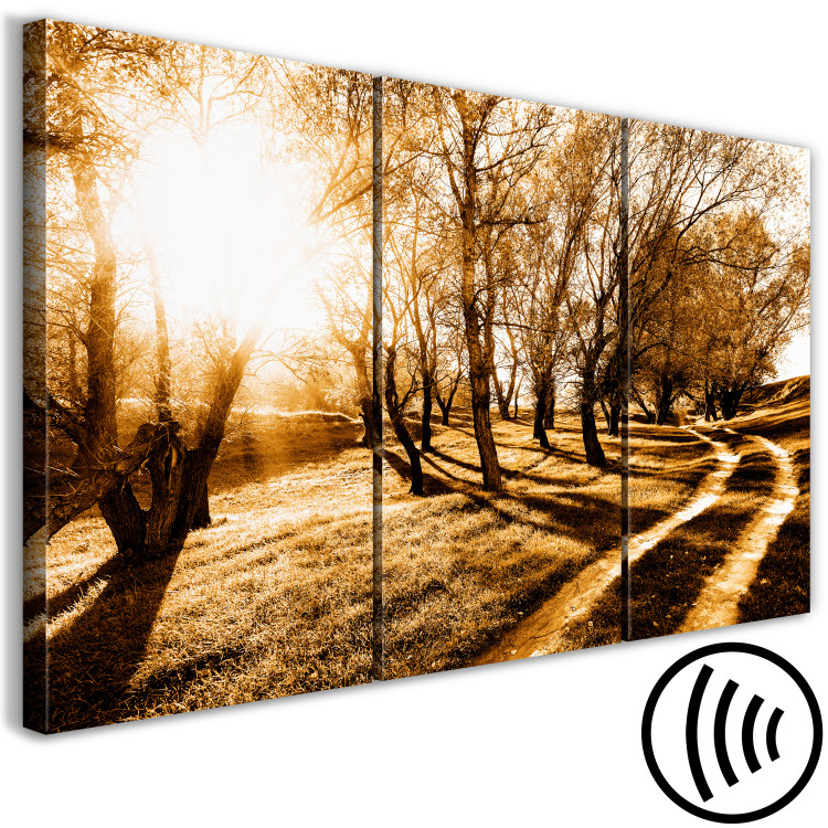 Canvas Art Print Autumn sun - an alley, trees and nature in a golden light 122191 additionalImage 6