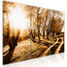 Canvas Art Print Autumn sun - an alley, trees and nature in a golden light 122191 additionalThumb 2