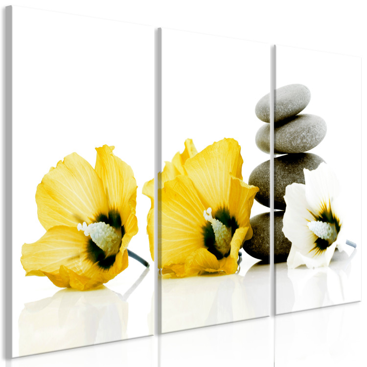 Canvas Print Feng shui flowers composition - a motif with yellow mallow and stones 123391 additionalImage 2