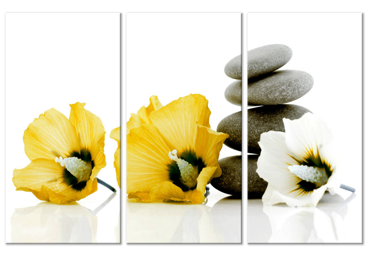 Canvas Print Feng shui flowers composition - a motif with yellow mallow and stones 123391