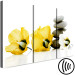 Canvas Print Feng shui flowers composition - a motif with yellow mallow and stones 123391 additionalThumb 6
