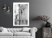 Wall Poster Street Lamps - black and white street architecture with wall lamps 123491 additionalThumb 4