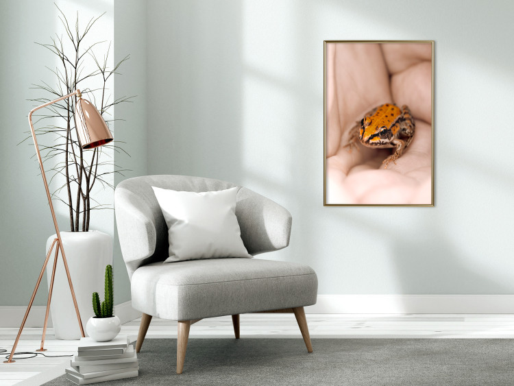 Poster The Good Life - tiny yellow frog on hand of a person 124391 additionalImage 5