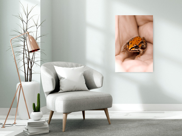 Poster The Good Life - tiny yellow frog on hand of a person 124391 additionalImage 17
