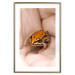 Poster The Good Life - tiny yellow frog on hand of a person 124391 additionalThumb 14