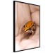 Poster The Good Life - tiny yellow frog on hand of a person 124391 additionalThumb 10