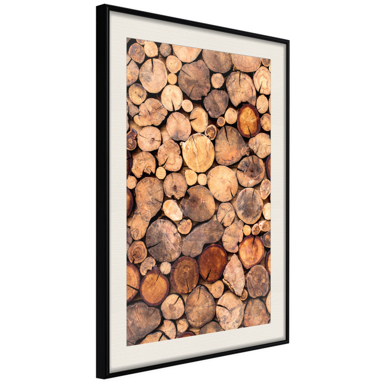 Wall Poster Tree Interior - texture of wood grain in various sizes 124491 additionalImage 3