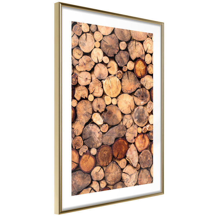 Wall Poster Tree Interior - texture of wood grain in various sizes 124491 additionalImage 8
