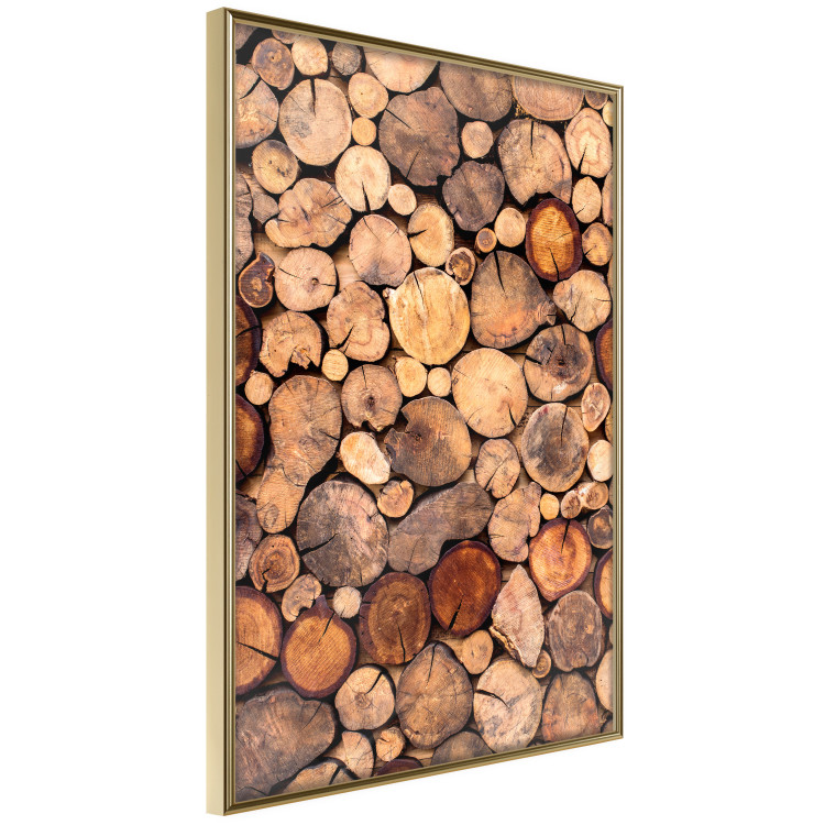 Wall Poster Tree Interior - texture of wood grain in various sizes 124491 additionalImage 14