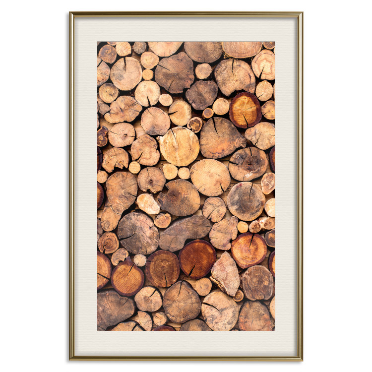 Wall Poster Tree Interior - texture of wood grain in various sizes 124491 additionalImage 23