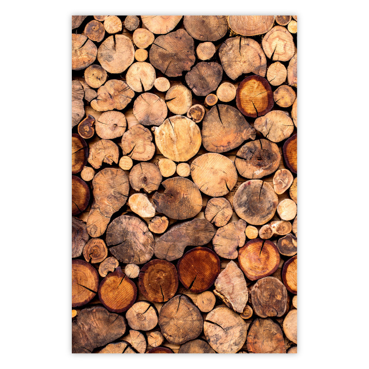 Wall Poster Tree Interior - texture of wood grain in various sizes 124491
