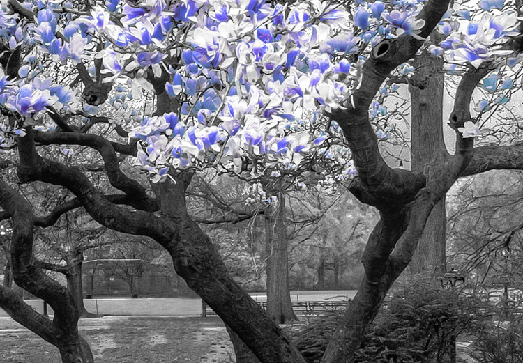 Canvas Blooming Magnolias - magnolia trees with flowers in shades of violet 128791 additionalImage 4