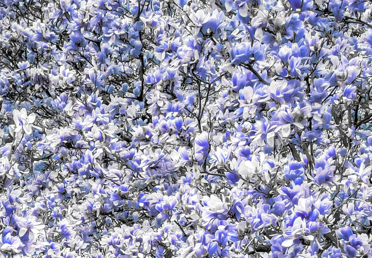 Canvas Blooming Magnolias - magnolia trees with flowers in shades of violet 128791 additionalImage 5