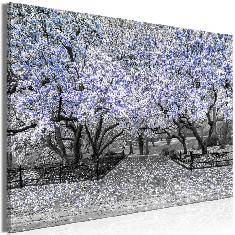Canvas Blooming Magnolias - magnolia trees with flowers in shades of violet 128791 additionalImage 2
