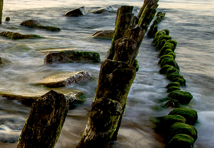 Large canvas print Wooden Breakwaters [Large Format] 128891 additionalImage 4
