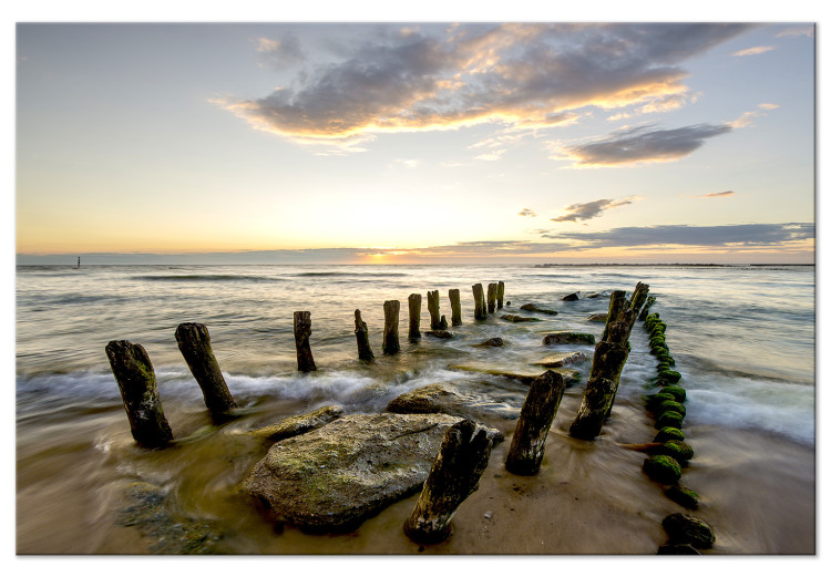 Large canvas print Wooden Breakwaters [Large Format] 128891
