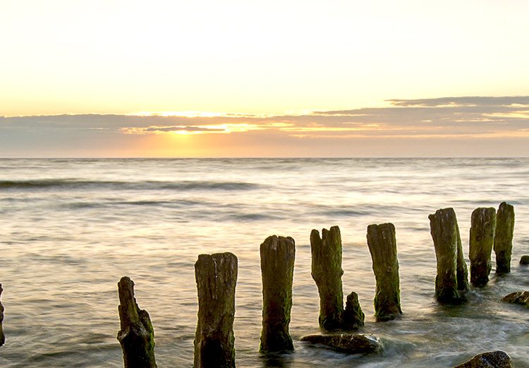 Large canvas print Wooden Breakwaters [Large Format] 128891 additionalImage 3