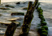 Large canvas print Wooden Breakwaters [Large Format] 128891 additionalThumb 4