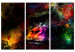 Canvas Art Print Power of Delicacy (3-part) - abstract colorful animal 128991