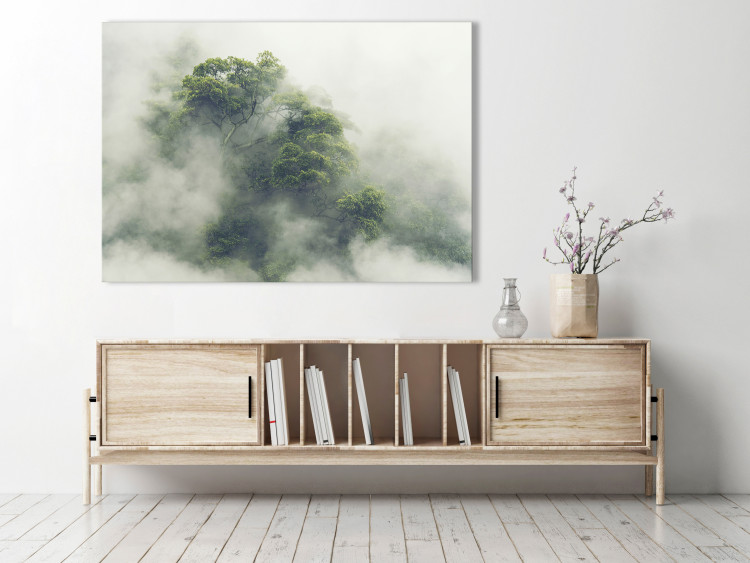 Canvas Print Misty Amazon (1-part) wide - landscape of an exotic forest 129391 additionalImage 3