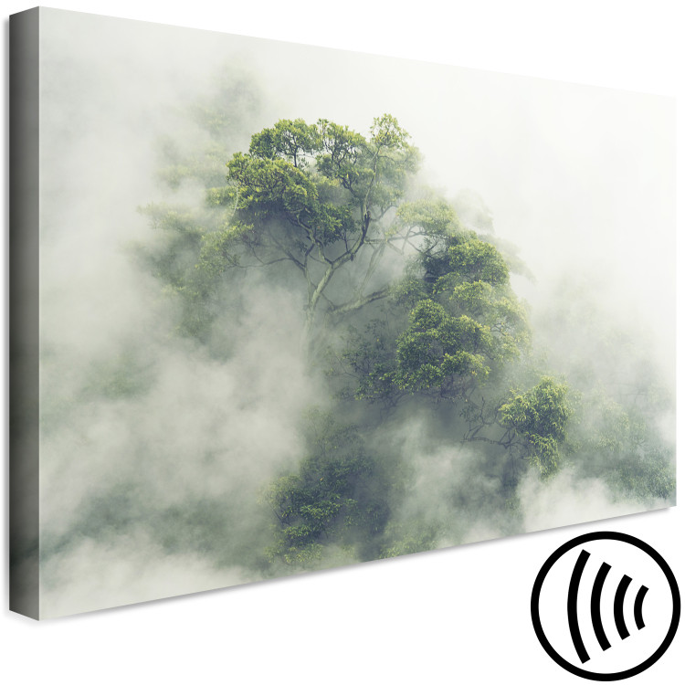 Canvas Print Misty Amazon (1-part) wide - landscape of an exotic forest 129391 additionalImage 6