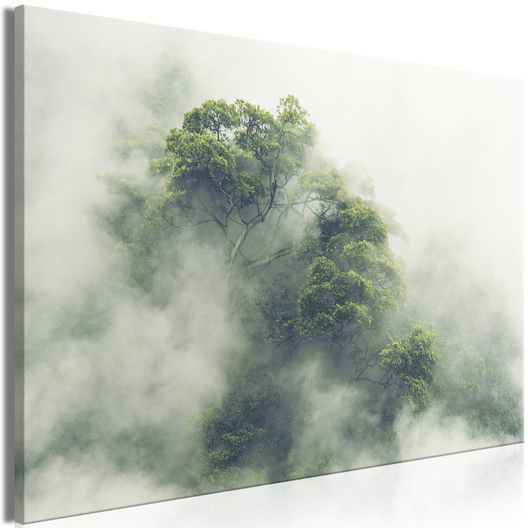 Canvas Print Misty Amazon (1-part) wide - landscape of an exotic forest 129391 additionalImage 2
