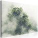 Canvas Print Misty Amazon (1-part) wide - landscape of an exotic forest 129391 additionalThumb 2
