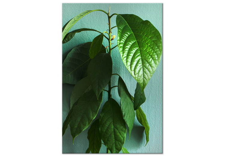 Canvas Avocado (1-piece) Vertical - landscape of green leaves of a houseplant 129891