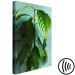 Canvas Avocado (1-piece) Vertical - landscape of green leaves of a houseplant 129891 additionalThumb 6