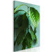 Canvas Avocado (1-piece) Vertical - landscape of green leaves of a houseplant 129891 additionalThumb 2