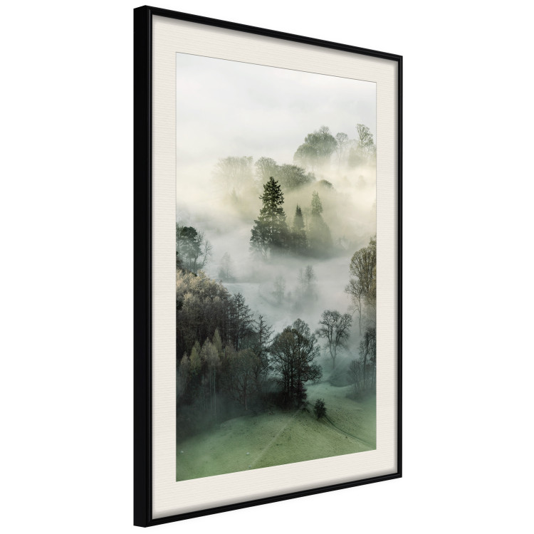 Poster Morning Chill - landscape of trees surrounded by dense fog against the sky 130291 additionalImage 13
