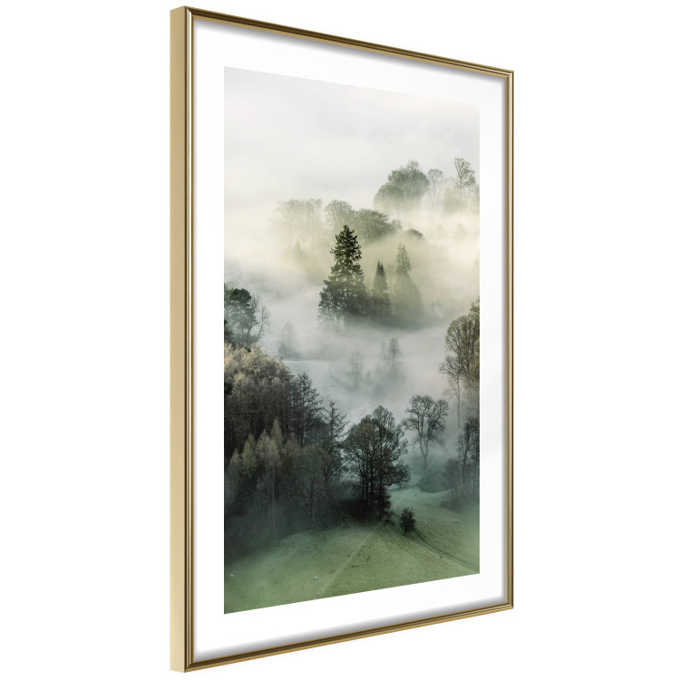 Poster Morning Chill - landscape of trees surrounded by dense fog against the sky 130291 additionalImage 7